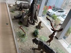 -中国第四纪冰川遗迹陈列馆