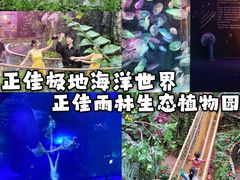 -正佳极地海洋世界
