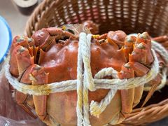 -蟹村草堂·苏式园林人文农家·大闸蟹