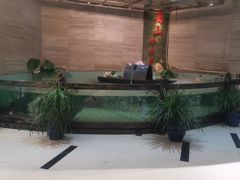 -楚鱼王·河鲜·湖北菜(华农店)
