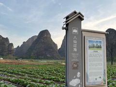 -钟山水墨田园