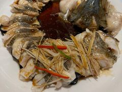 -博雅渔港·融合菜(维也纳国际大酒店)