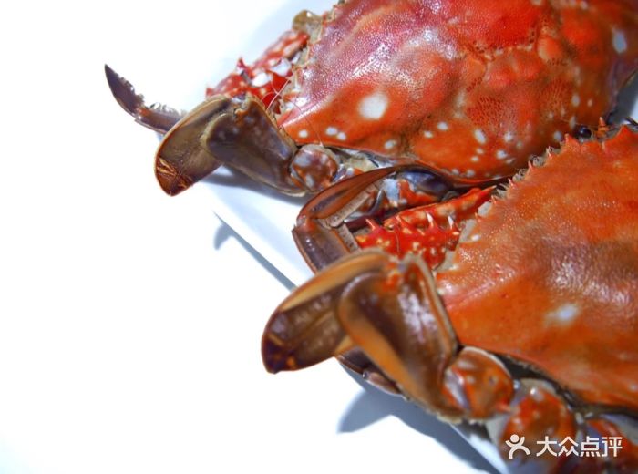 玉华市场-图片-大连购物-大众点评网