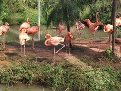 -无锡动物园·太湖欢乐园
