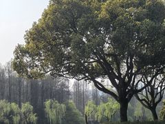 -西湖游船