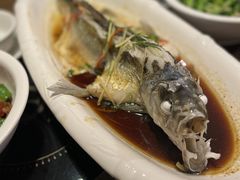 -醉美东江·三文鱼·烧鸡公