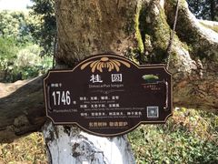 -张坝桂圆林公园