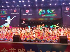 -西安小天鹅艺术团(金花路校区)