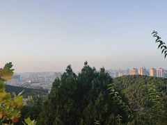 -佛慧山