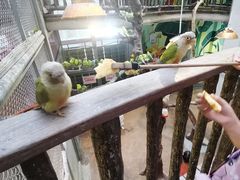 -正佳雨林生态植物园