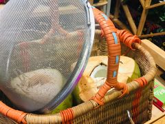 -椰夫人·养生椰子鸡(金沙洲永旺店)