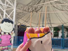 -史努比缤纷世界