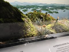 -中国湿地博物馆