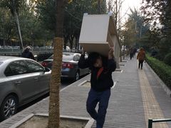 -和平搬家公司