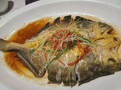 清蒸东海大黄鱼-金汤宴餐厅·粤菜(德云社店)