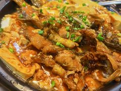 黄骨鱼焖豆腐/斤-来客家食府 · 福建客家菜(厦禾路店)