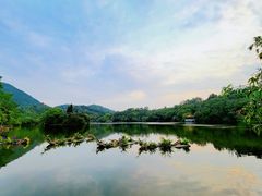-深圳仙湖植物园