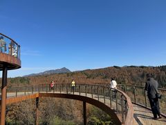 -山王坪喀斯特国家生态公园