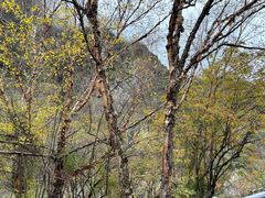 -叠溪松坪沟景区