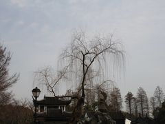 -红梅公园
