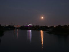 -九里河湿地公园
