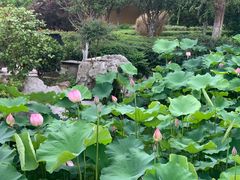 -圆通寺