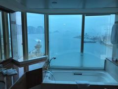 -香港皇家太平洋酒店