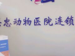 android_upload_pic-瑞派·关忠动物医院(国瑞店)