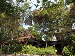 -卷心菜和避孕套餐厅(Pattaya)