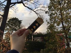 -三鹰之森吉卜力美术馆