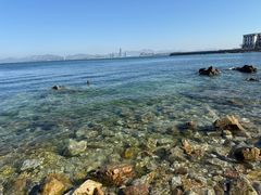 -养马岛旅游度假区