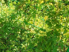 -极速星辰卡丁车赛车场(西山店)