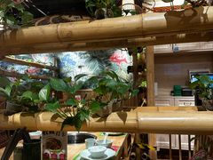 -椰夫人·养生椰子鸡(金沙洲永旺店)