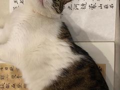-六出私塾LiuChu•成人美术书法系统课程专业画室(熊婆婆的花园店)