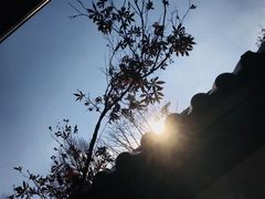 -唐风温泉