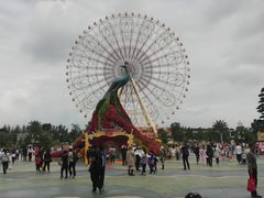 -七彩云南欢乐世界