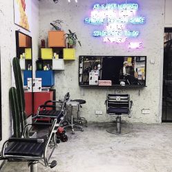 -SALON V