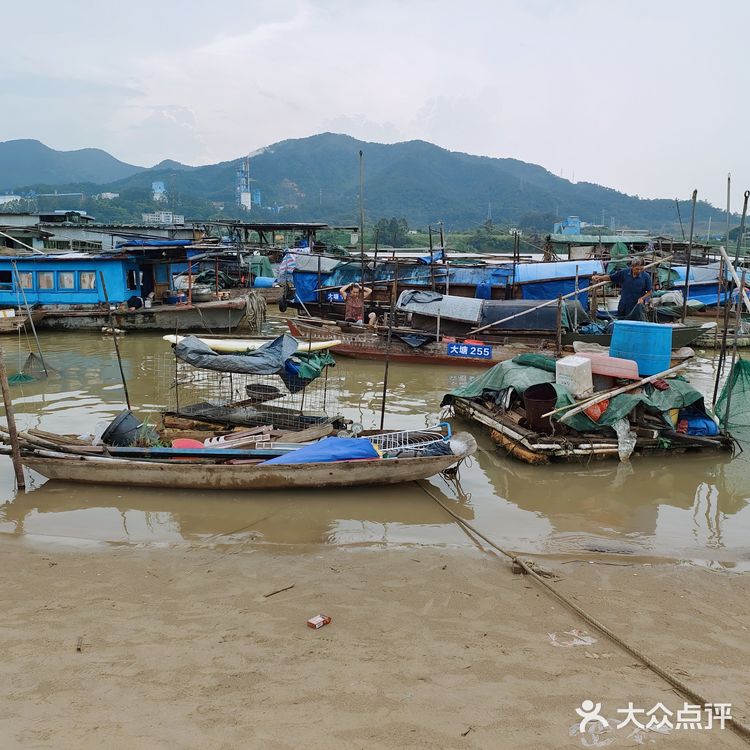 佛山三水区一日游[吐]