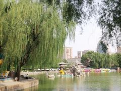 -团结湖公园