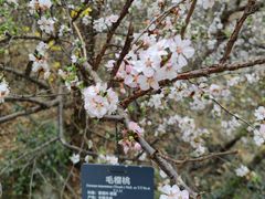 -国家植物园