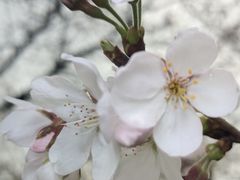 -堤角公园