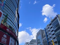 -涩谷区
