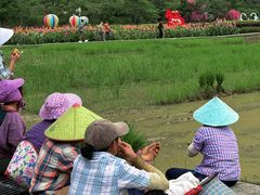 -靖西鹅泉风景区