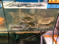 -胖大嫂渔家排档(半边山店)