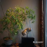 从箭厂胡同到后海水屋，从太古里到新开的南锣店
