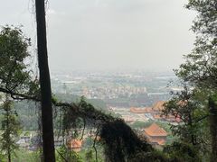 -南国桃园旅游度假区