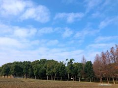 -同里国家湿地公园