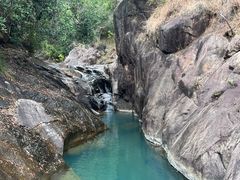 -广州白江湖森林公园