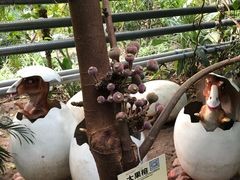 -呀路古热带植物园