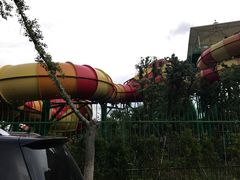 -苏州乐园森林水世界